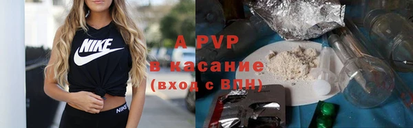 твердый Горняк
