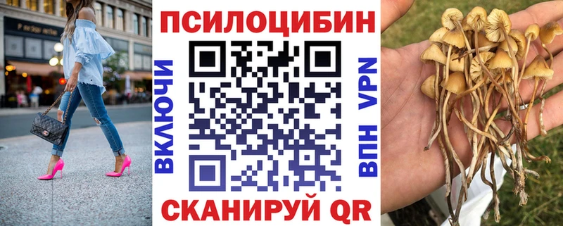 KRAKEN ONION  Крымск  Галлюциногенные грибы мицелий 