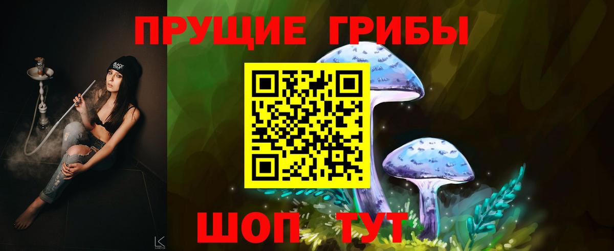 Крымск  Галлюциногенные грибы MAGIC MUSHROOMS  Вход с VPN  Галлюциногенные грибы Cubensis 